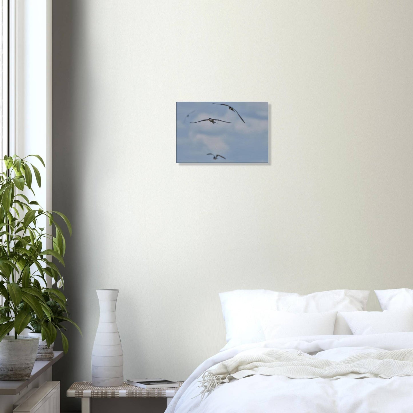 A Love Triangle of Terns