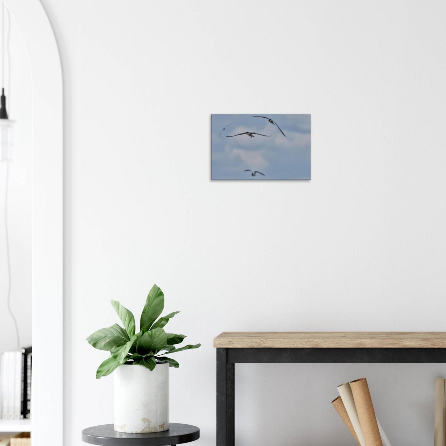 A Love Triangle of Terns