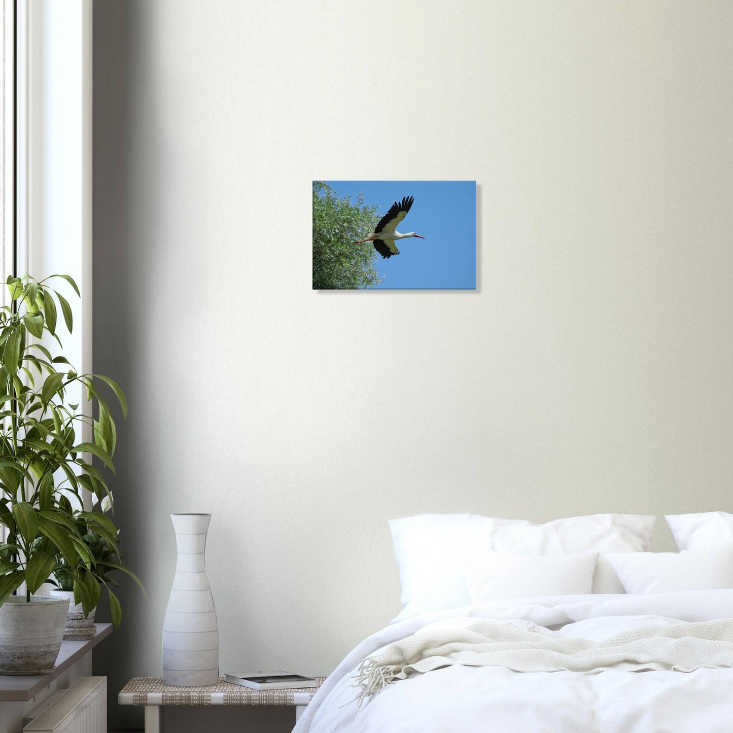 The Soaring White Stork