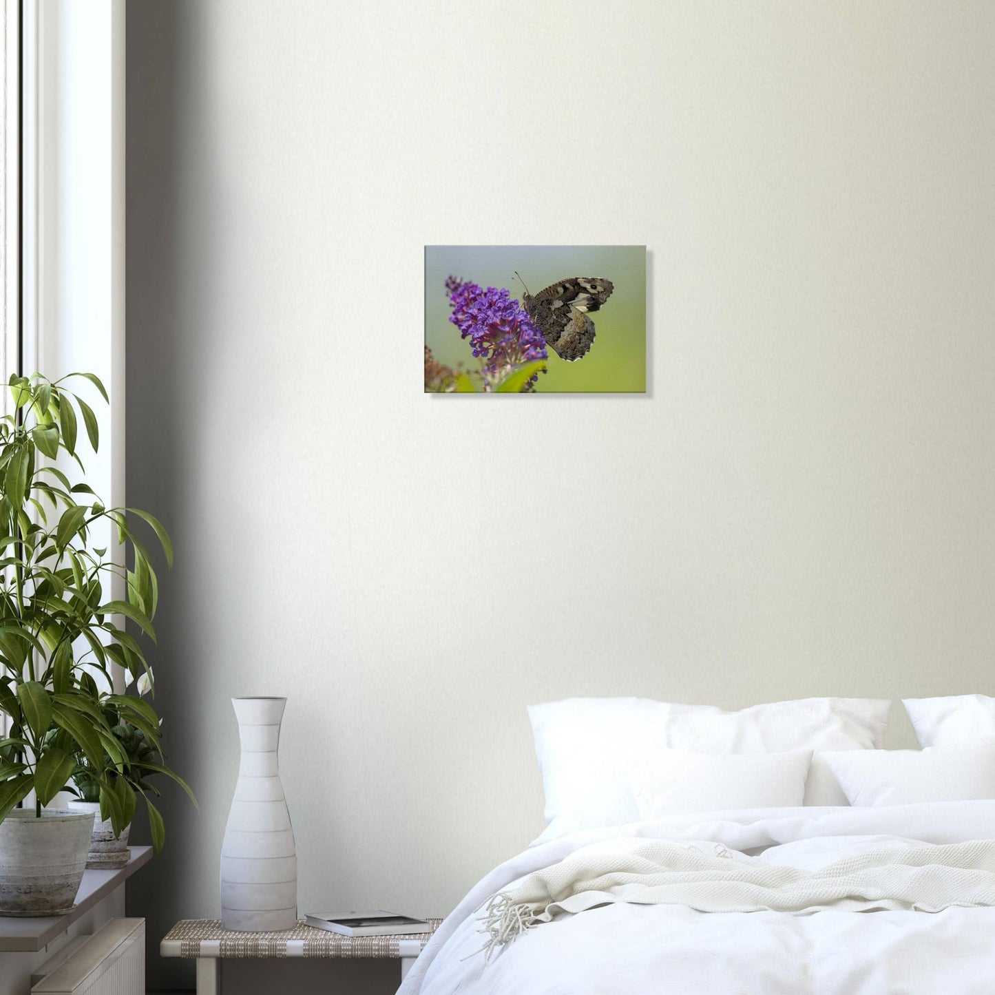 Butterfly Kisses the Flower