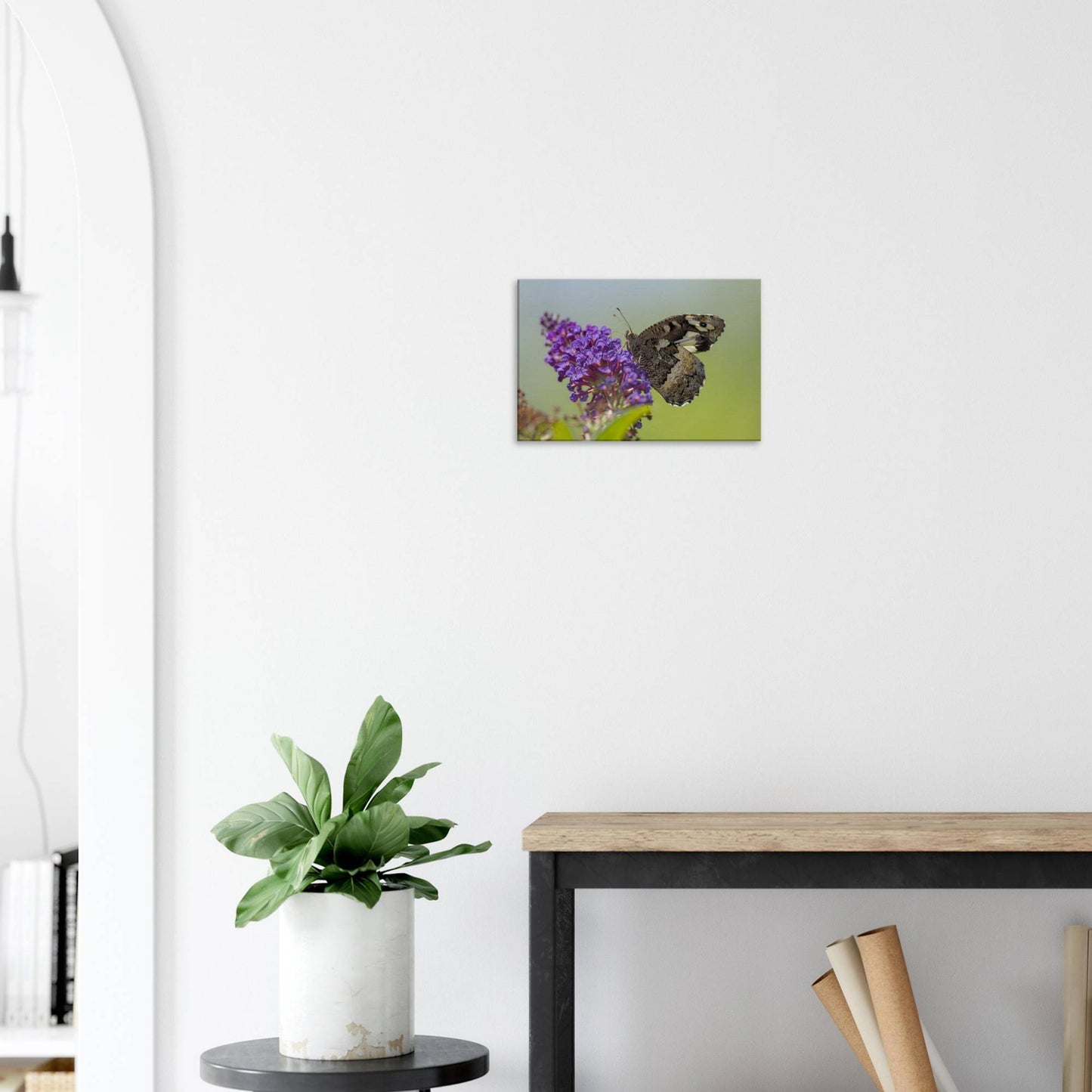 Butterfly Kisses the Flower
