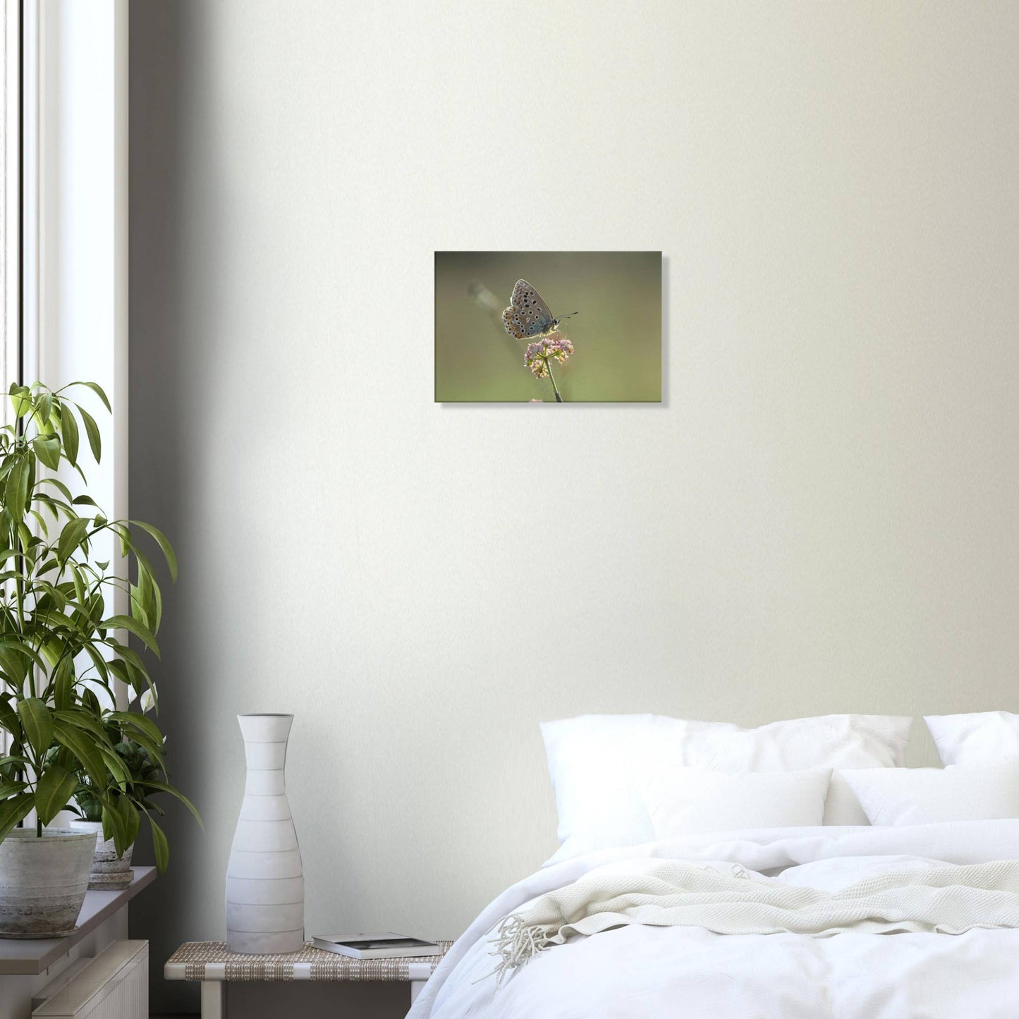 Portrait of a Butterfly