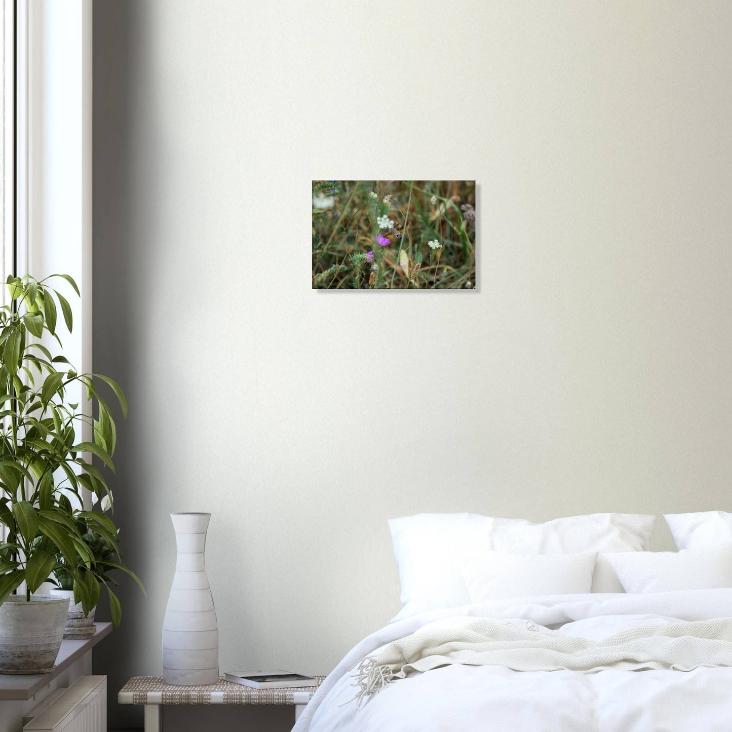 A Moth at Home
