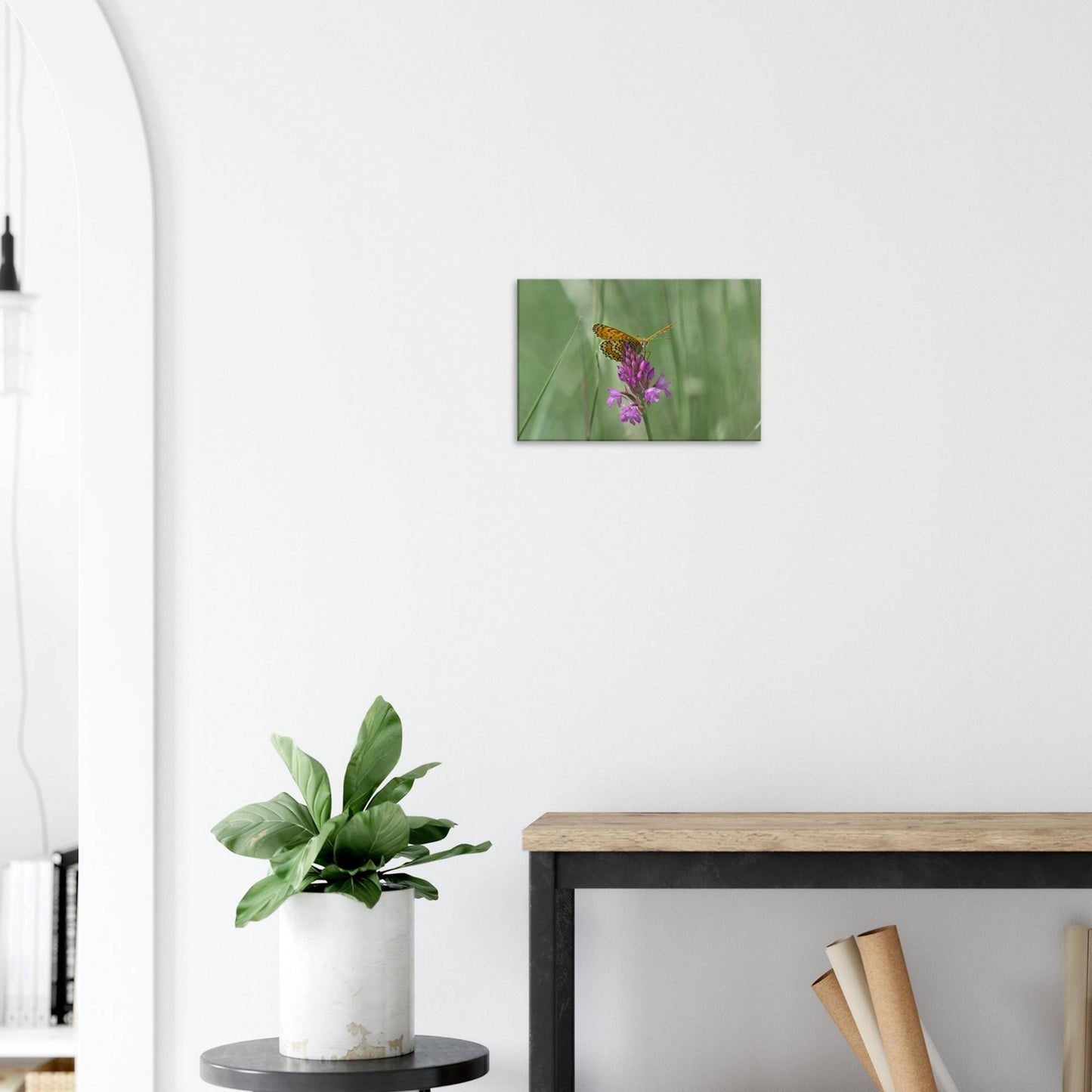 Peeking Butterfly