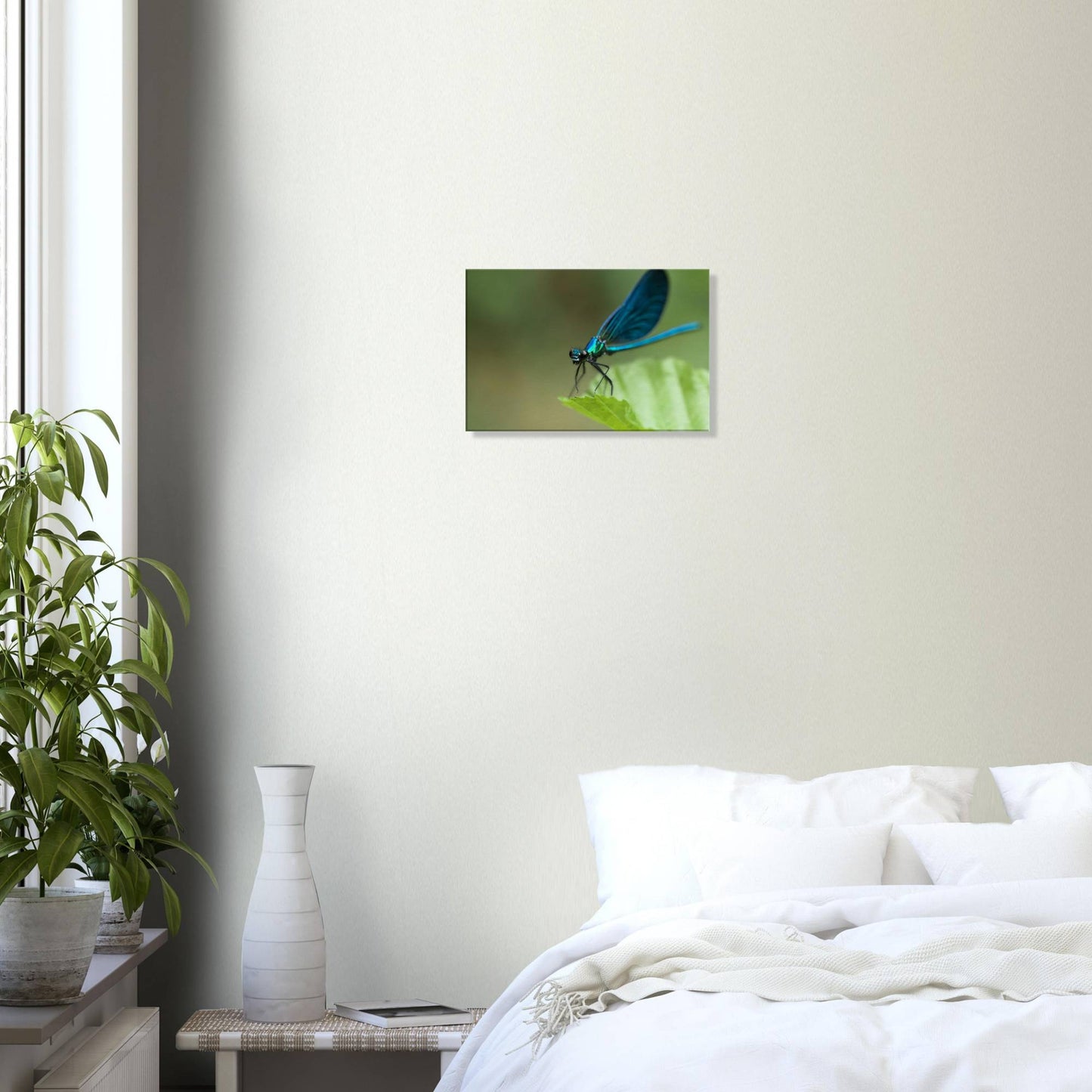 The Posing Damselfly