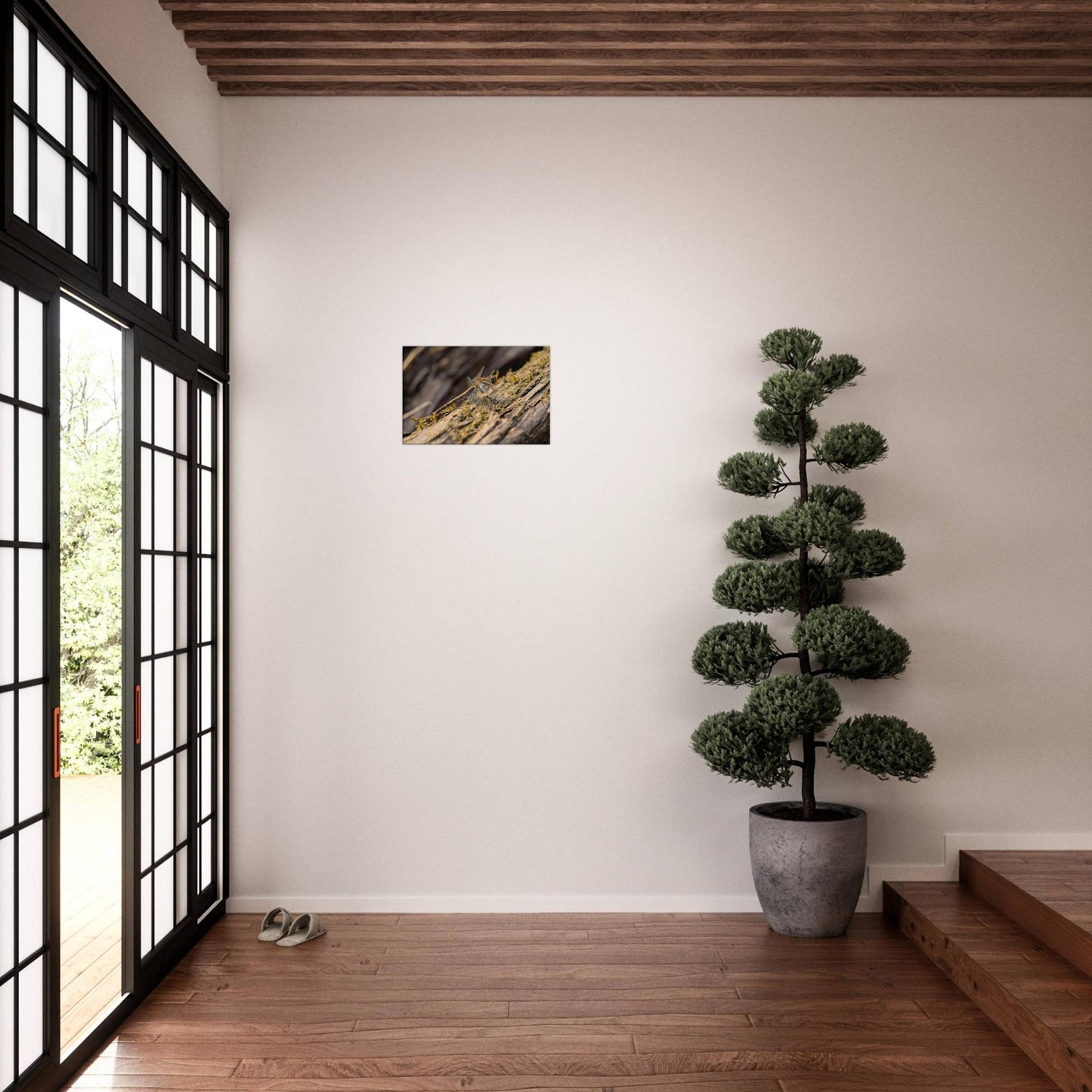 Dragonfly on the Wood