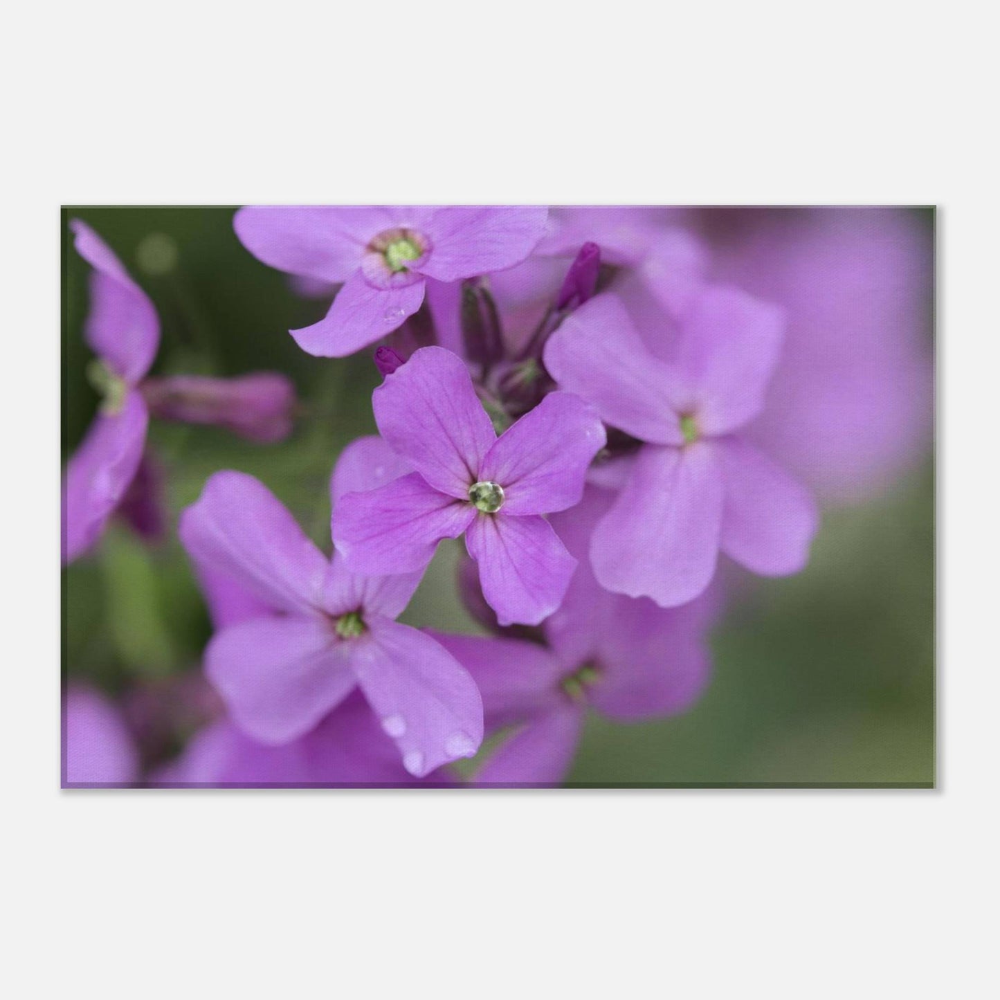 Jeweled Pink Flower