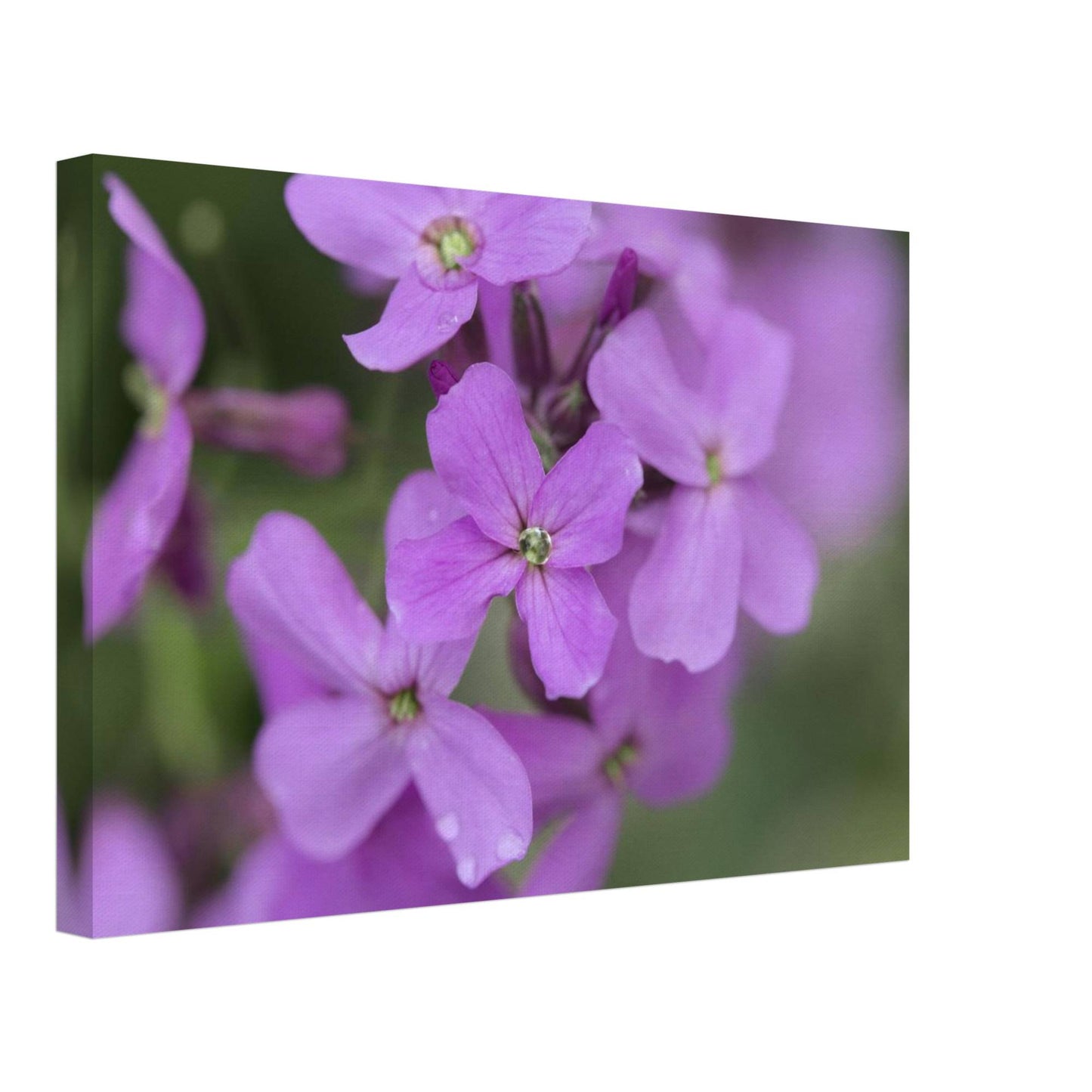 Jeweled Pink Flower