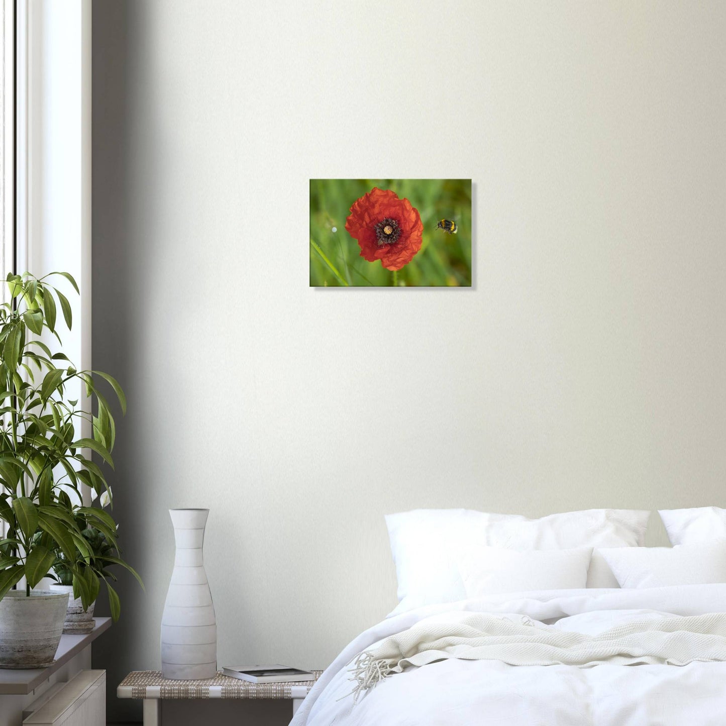 Hummingbees Welcome!