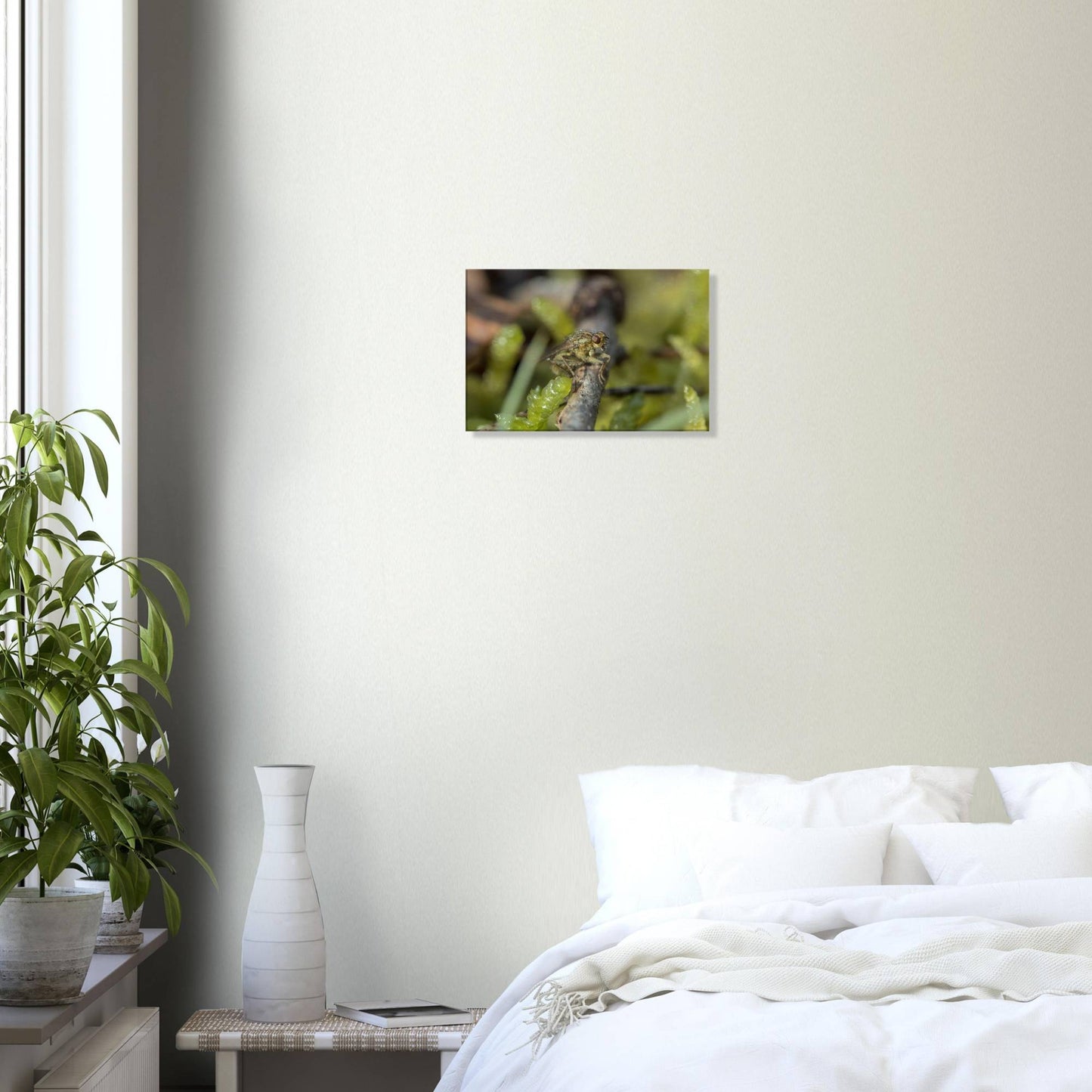 Fly at Rest