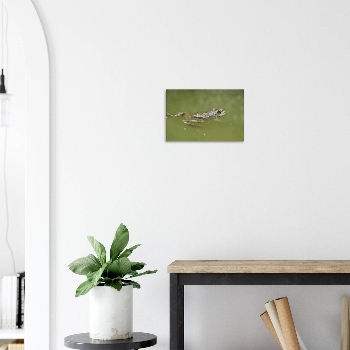 Floating Froggo
