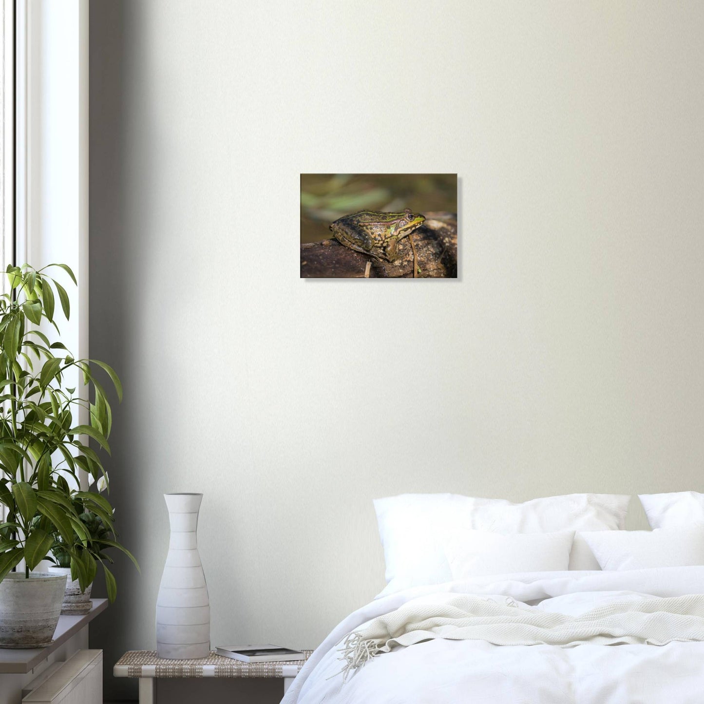 A Frog's Portrait