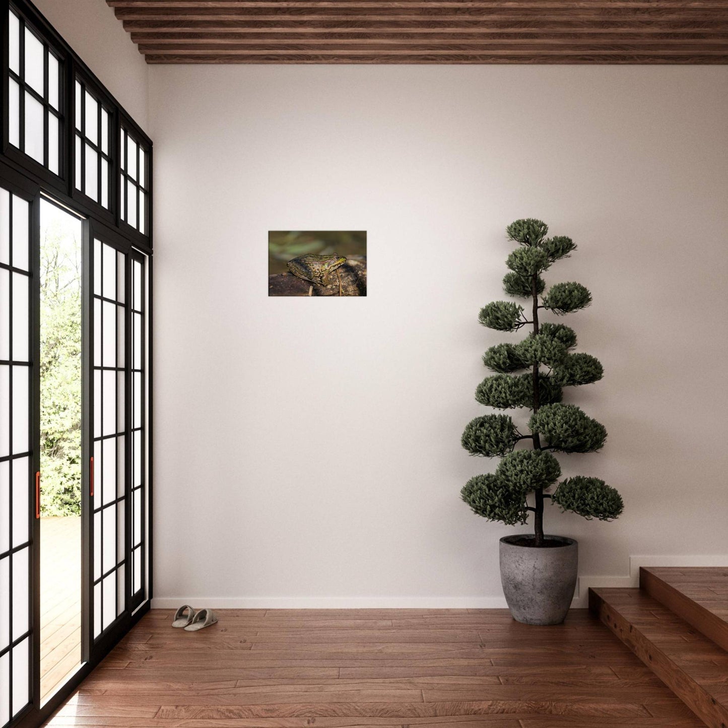A Frog's Portrait