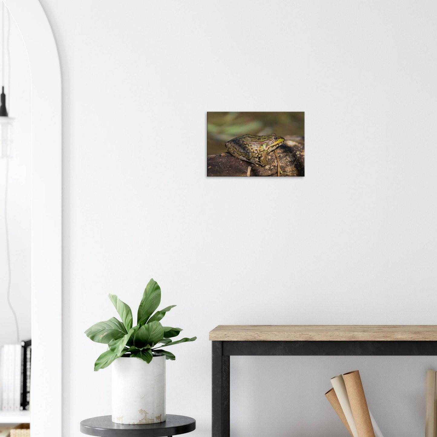 A Frog's Portrait