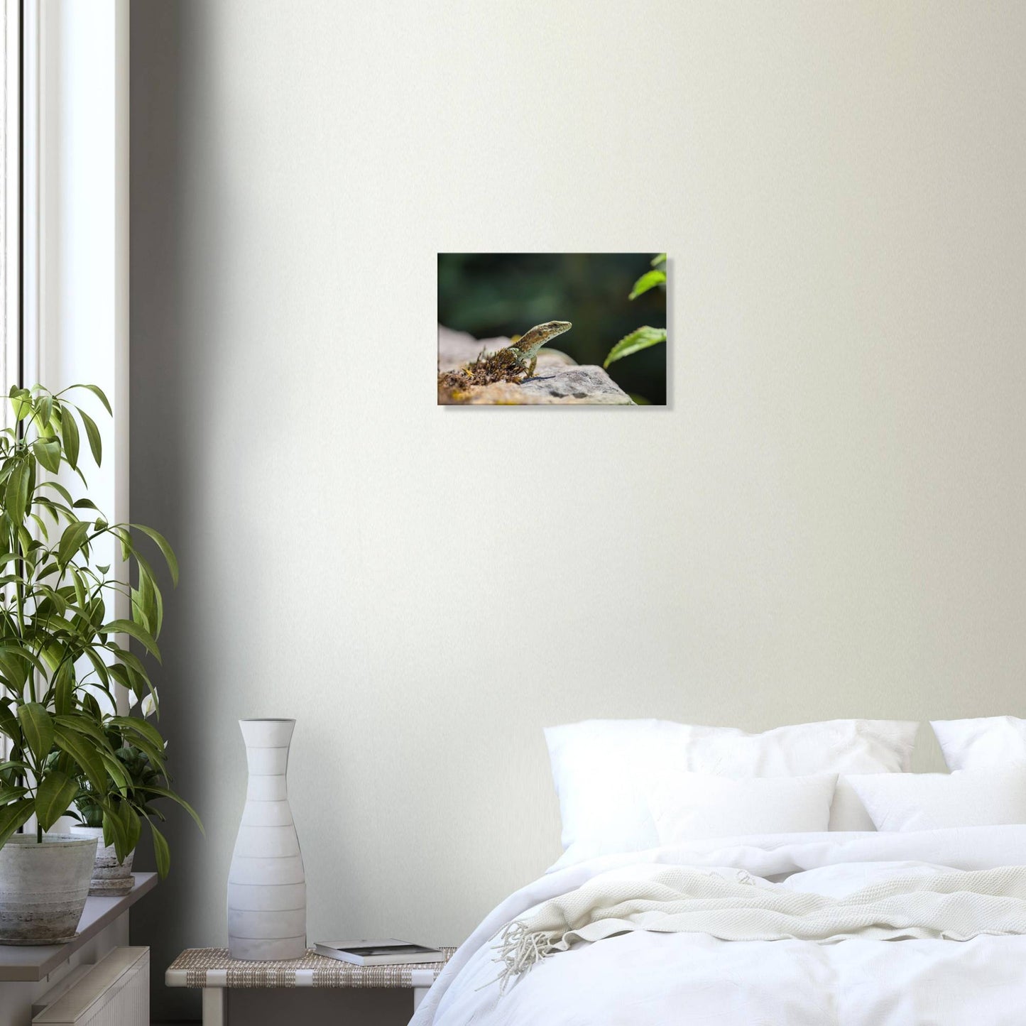The Curious Lizard