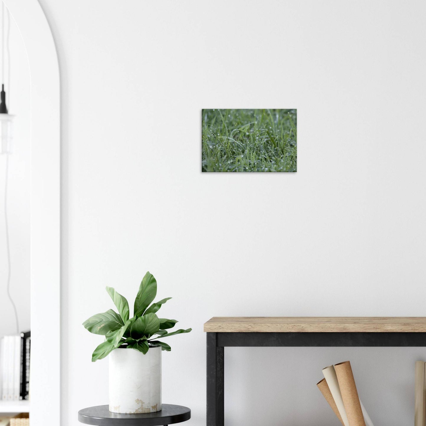 Grass