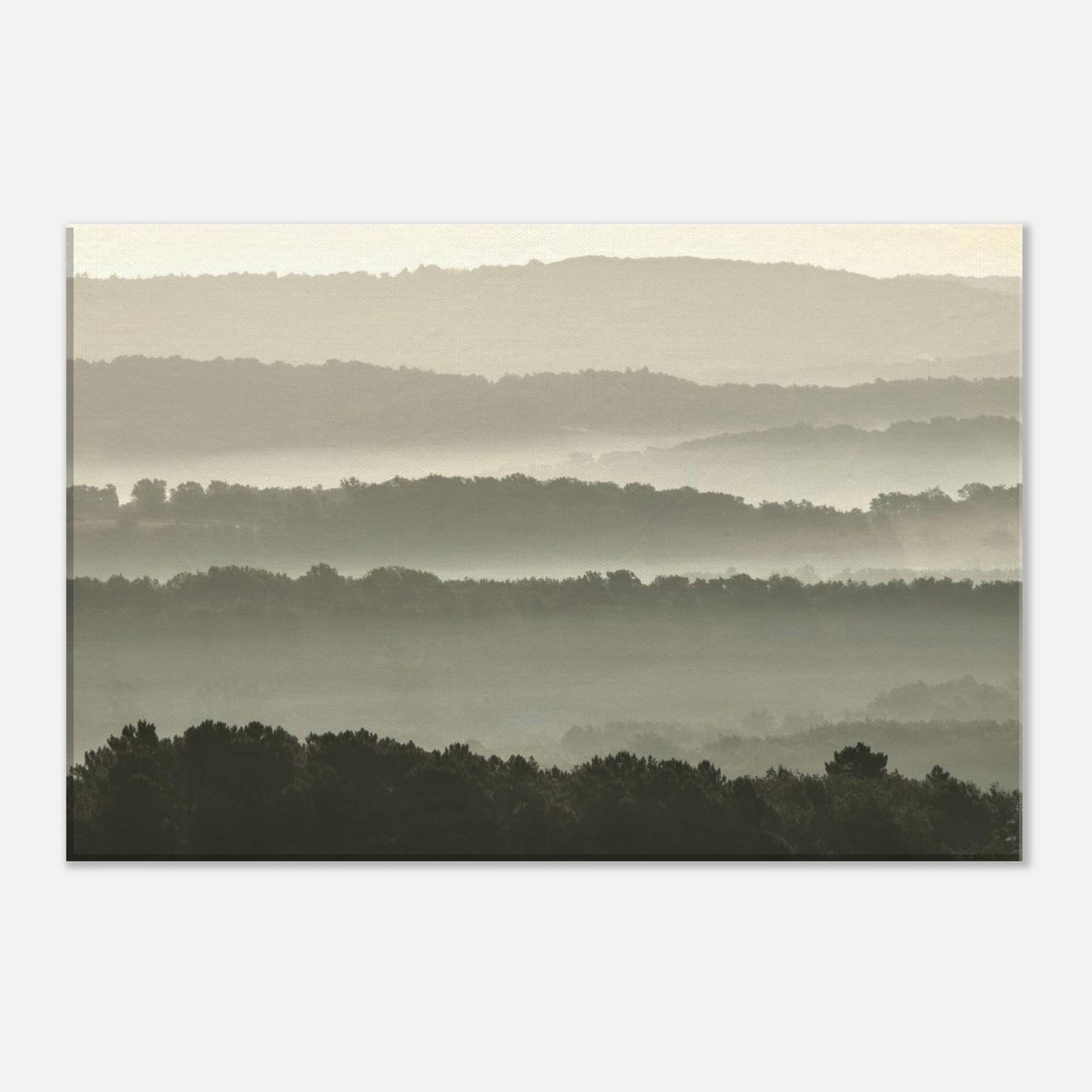 Misty Hills