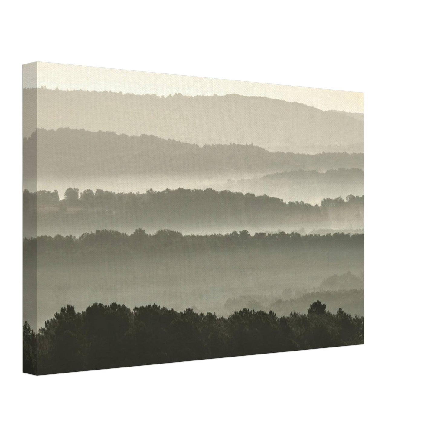 Misty Hills