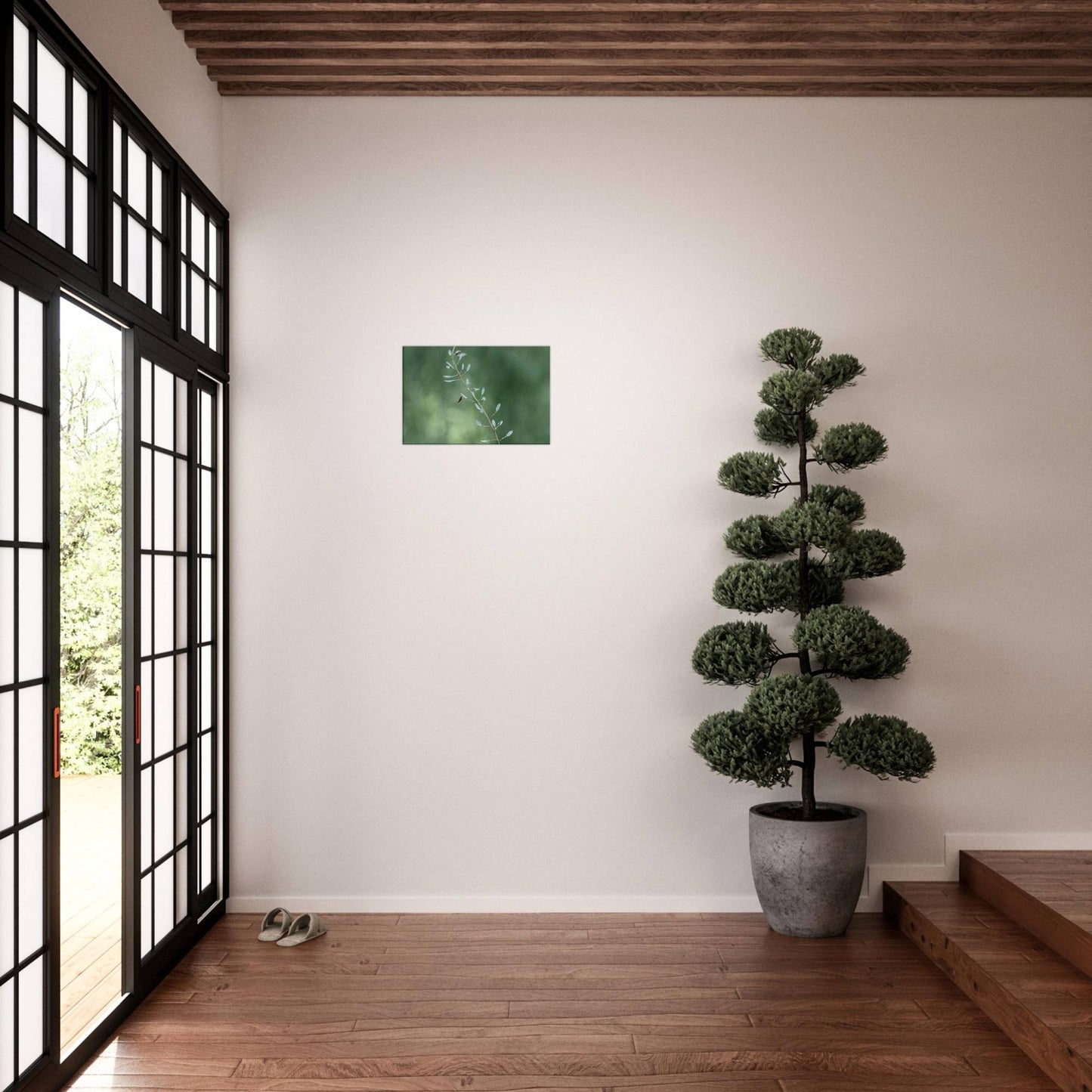 Plant with Droples
