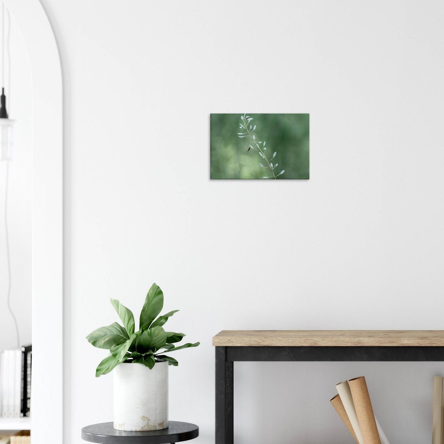 Plant with Droples