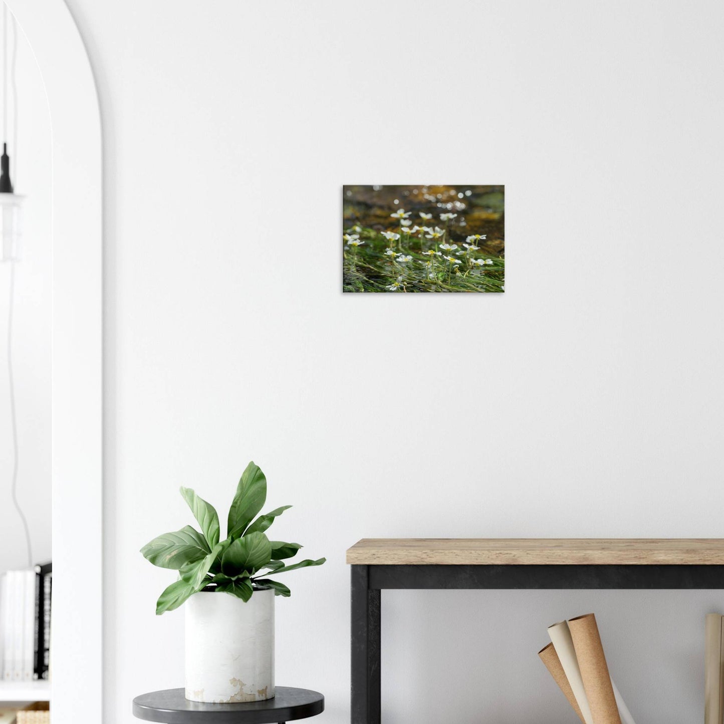 Dancing River Plants
