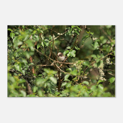 Bird Lying in Wait