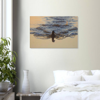 Flowing Coot