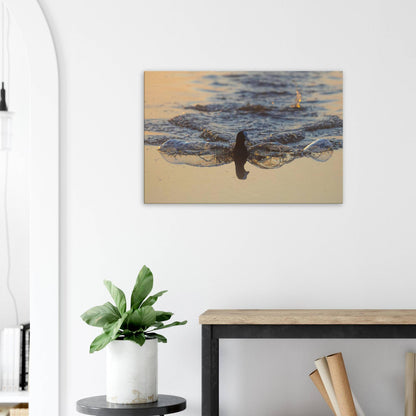 Flowing Coot