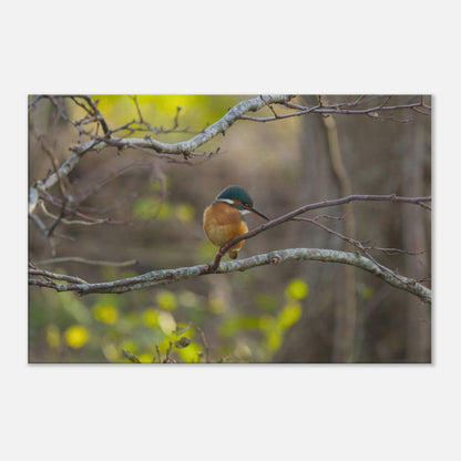 Mischievous Bird