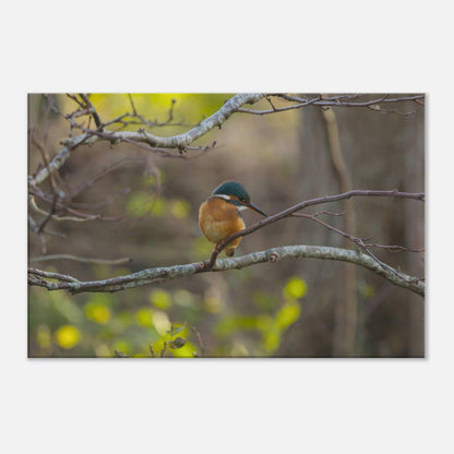 Mischievous Bird