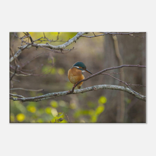 Mischievous Bird