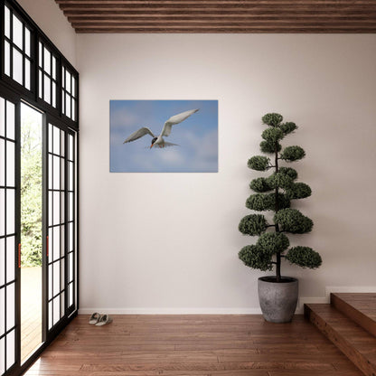 Silver Wings