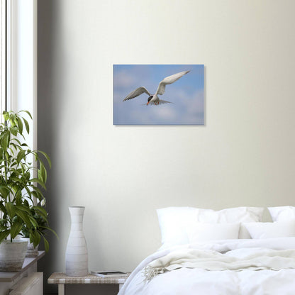 Silver Wings