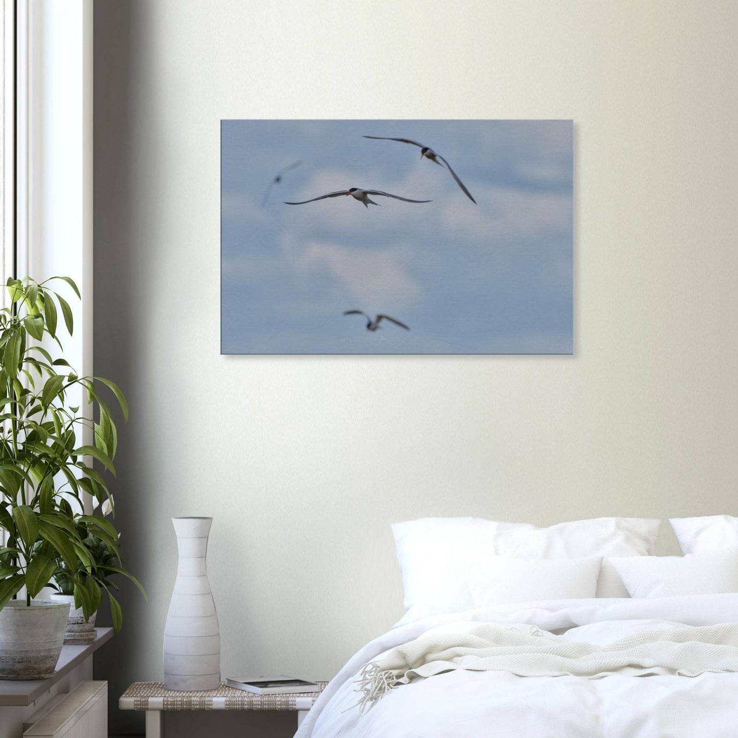 A Love Triangle of Terns