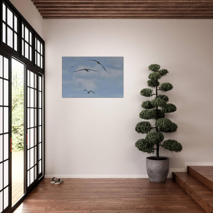 A Love Triangle of Terns
