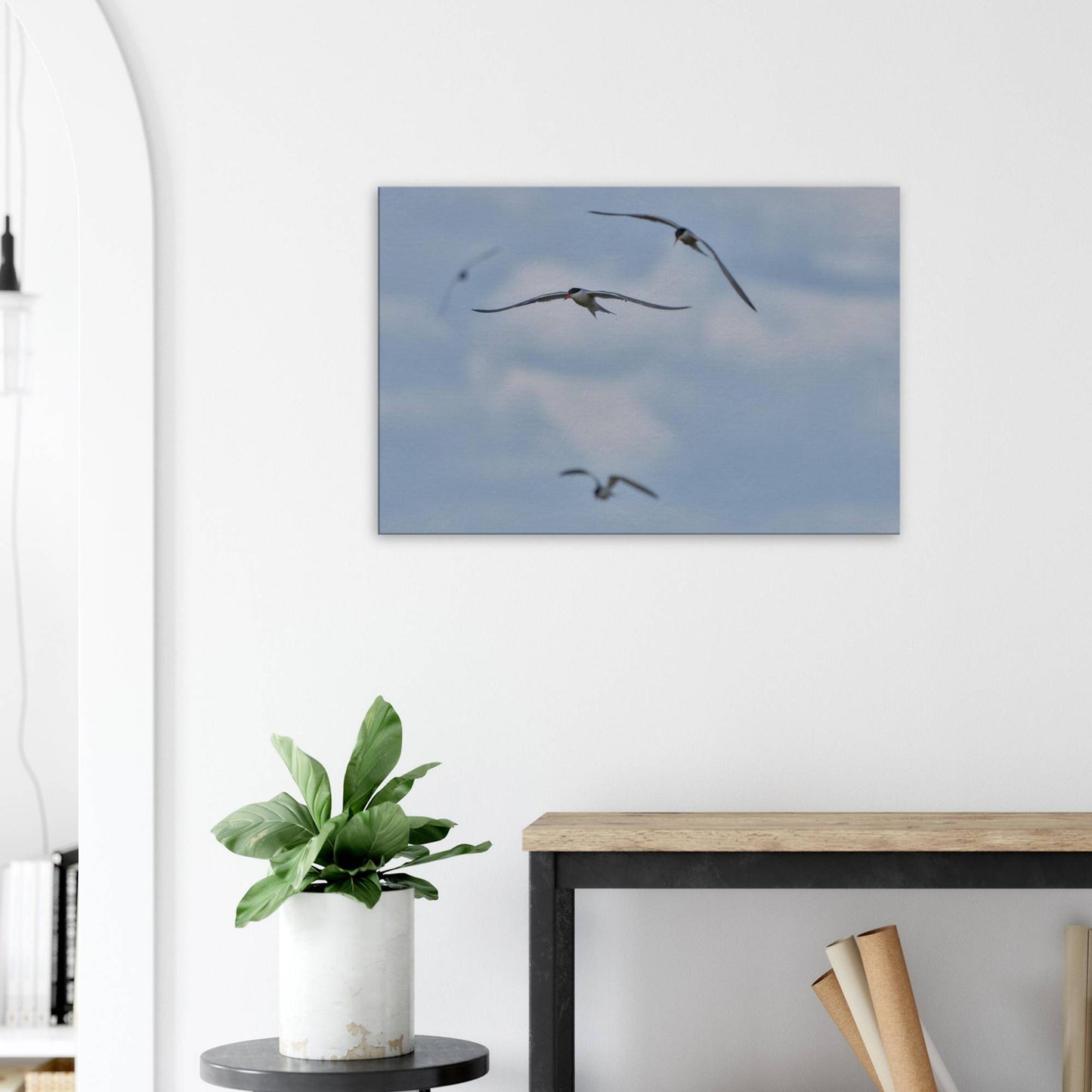 A Love Triangle of Terns