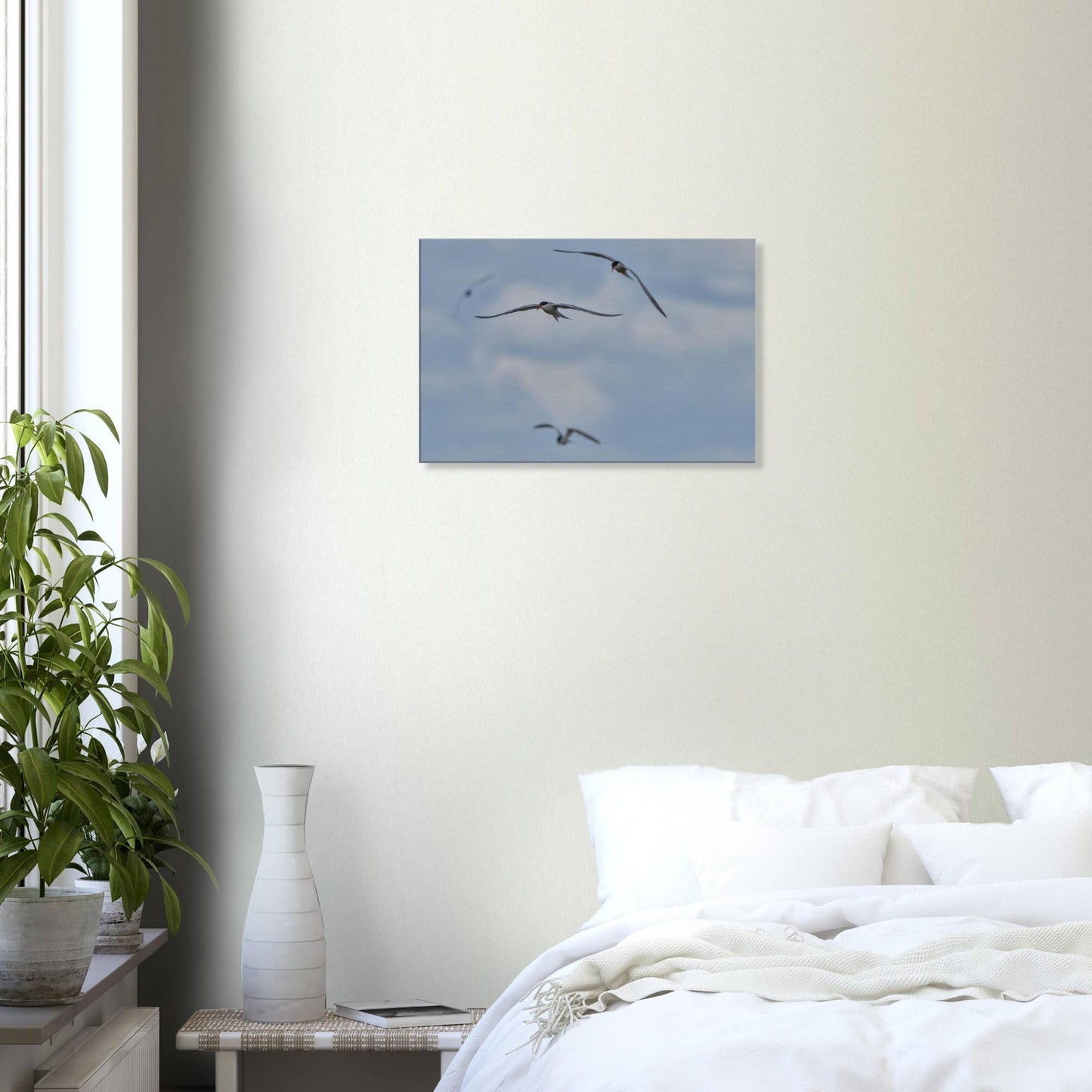 A Love Triangle of Terns