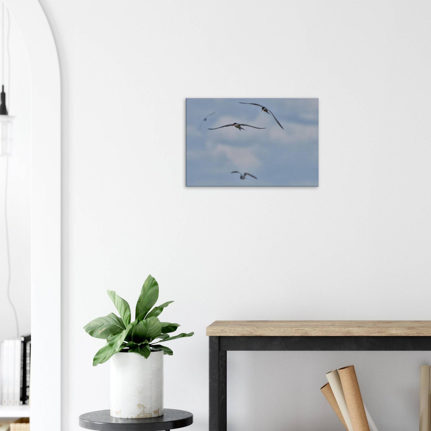 A Love Triangle of Terns