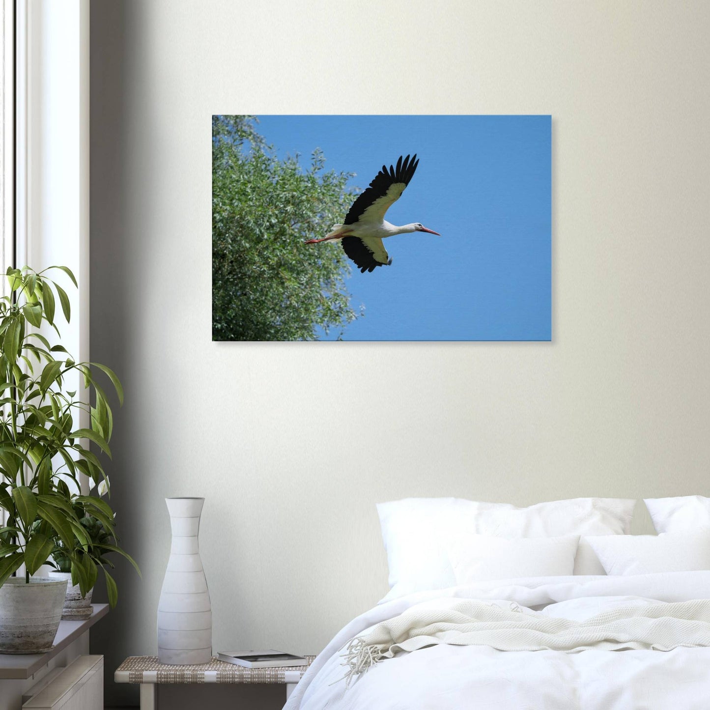 The Soaring White Stork
