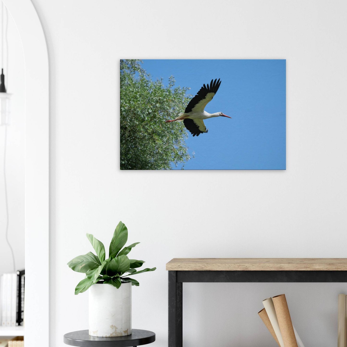 The Soaring White Stork
