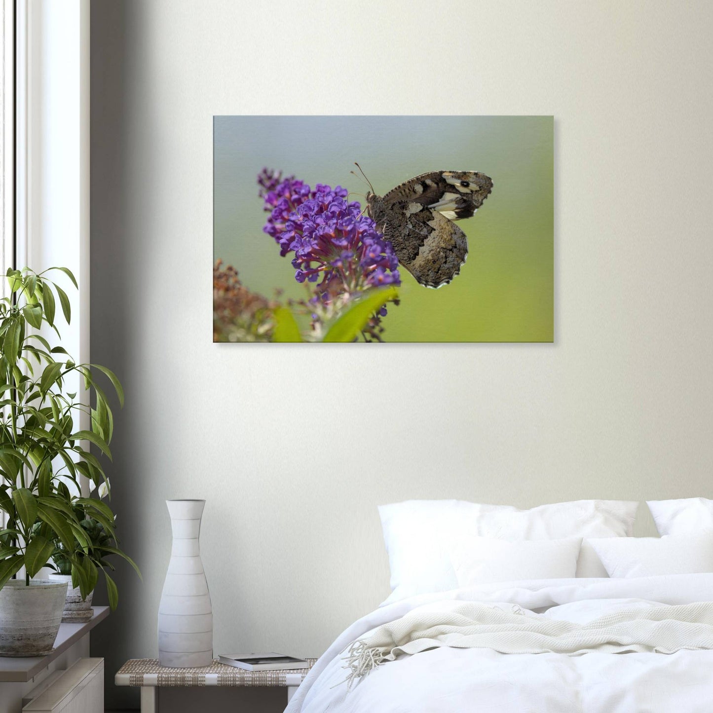 Butterfly Kisses the Flower