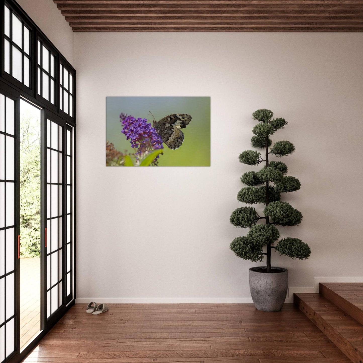 Butterfly Kisses the Flower