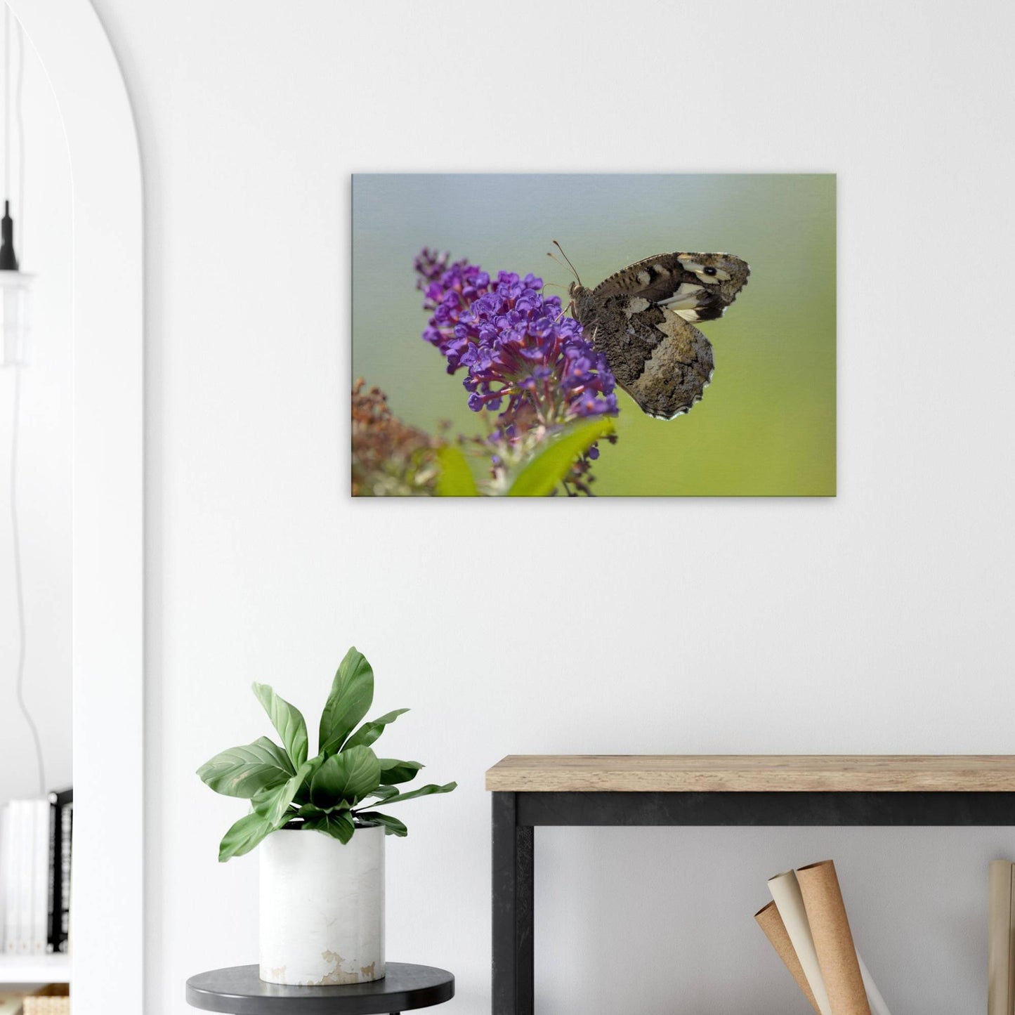 Butterfly Kisses the Flower