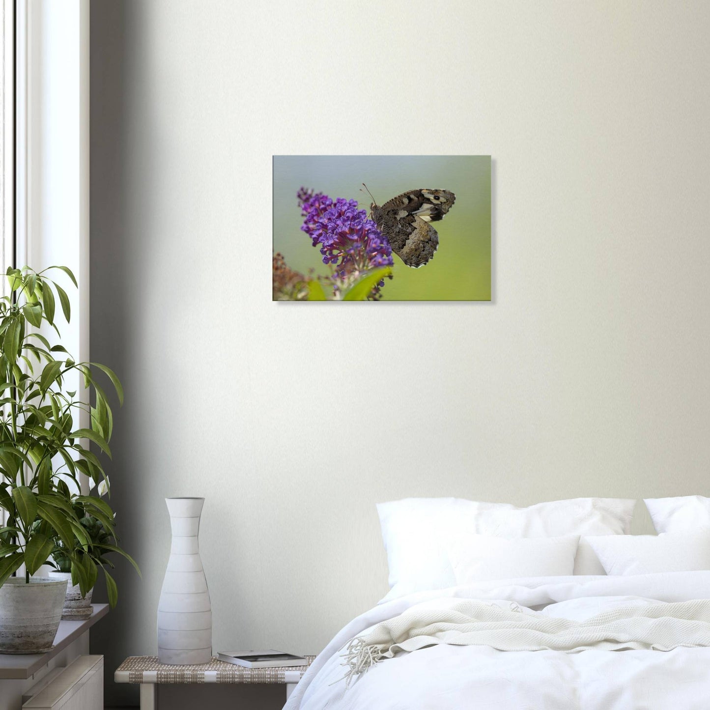Butterfly Kisses the Flower