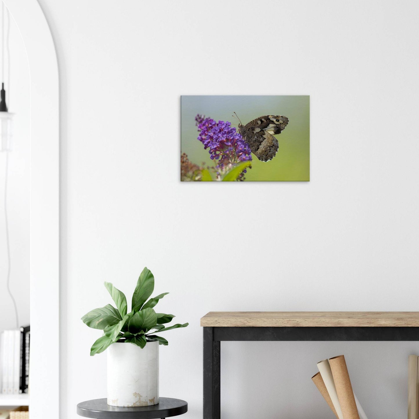 Butterfly Kisses the Flower