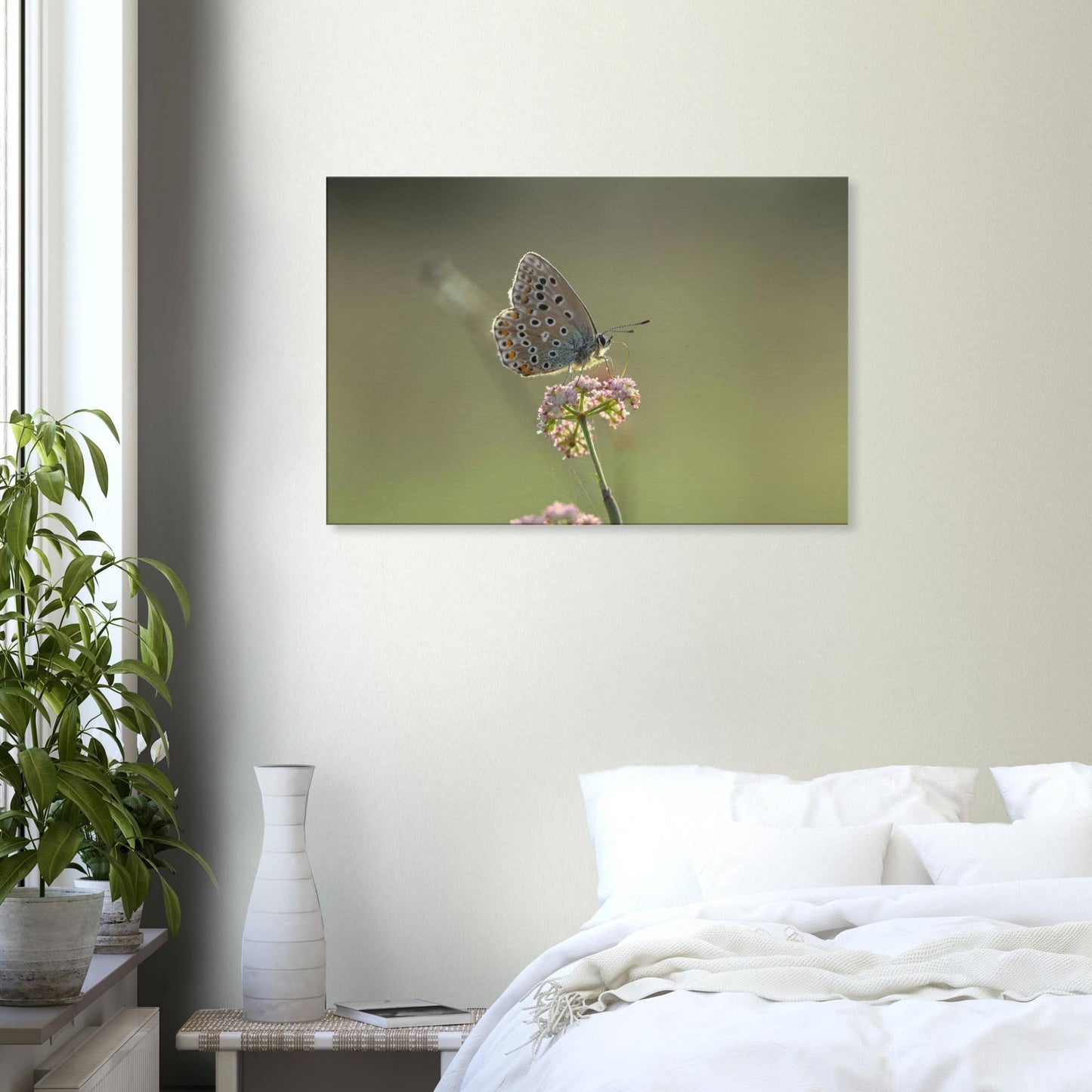 Portrait of a Butterfly