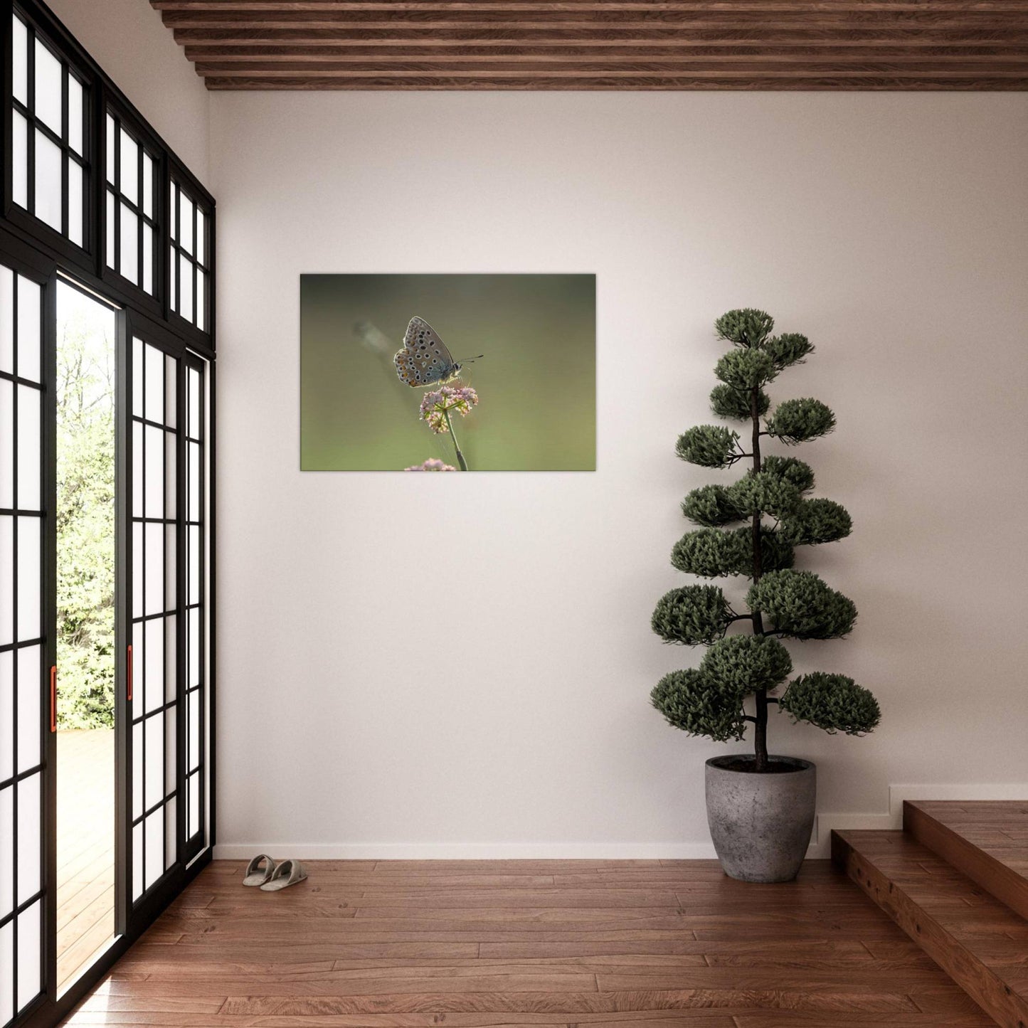 Portrait of a Butterfly
