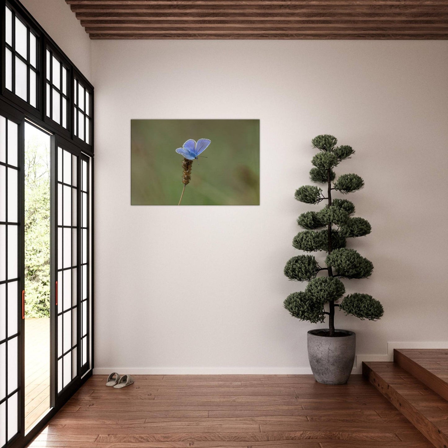 A Butterfly's Rest