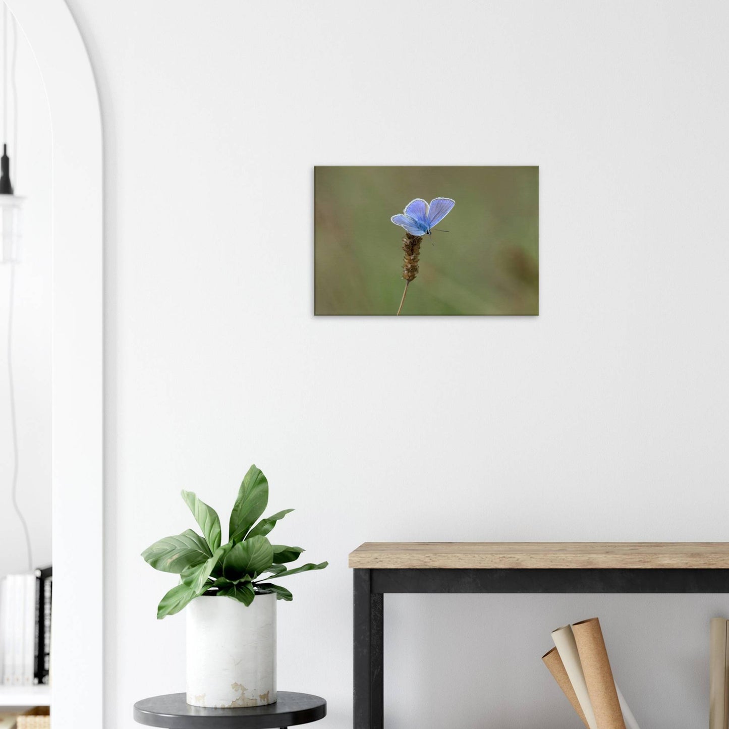 A Butterfly's Rest