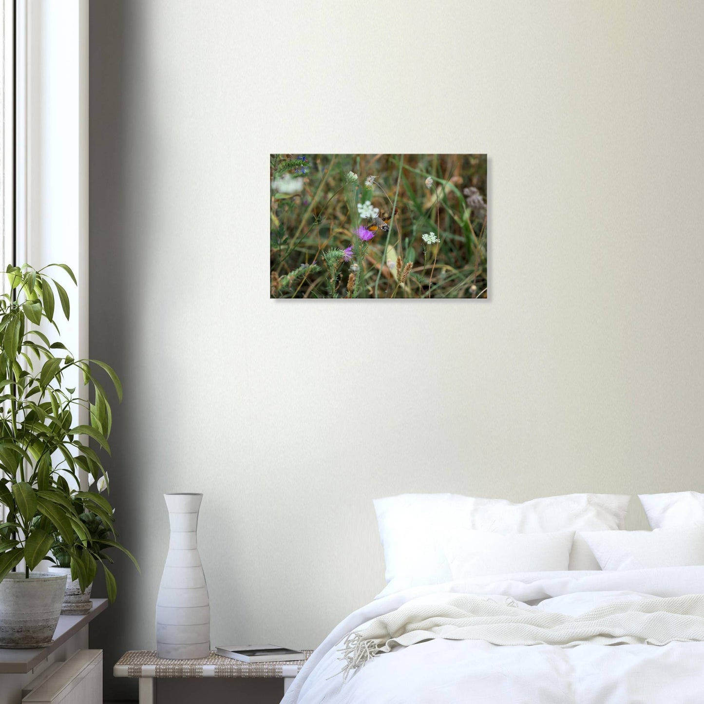 A Moth at Home